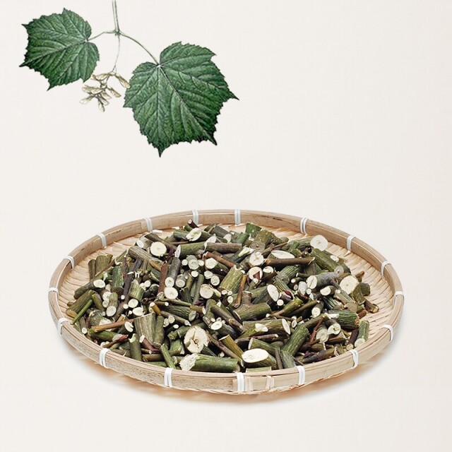 최승영벌나무연구소,최승영 벌나무 가지 2kg